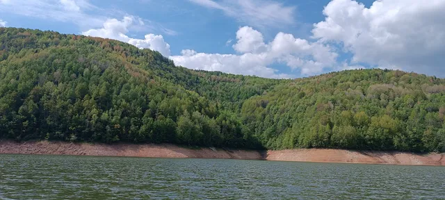 Apartman "Božović"