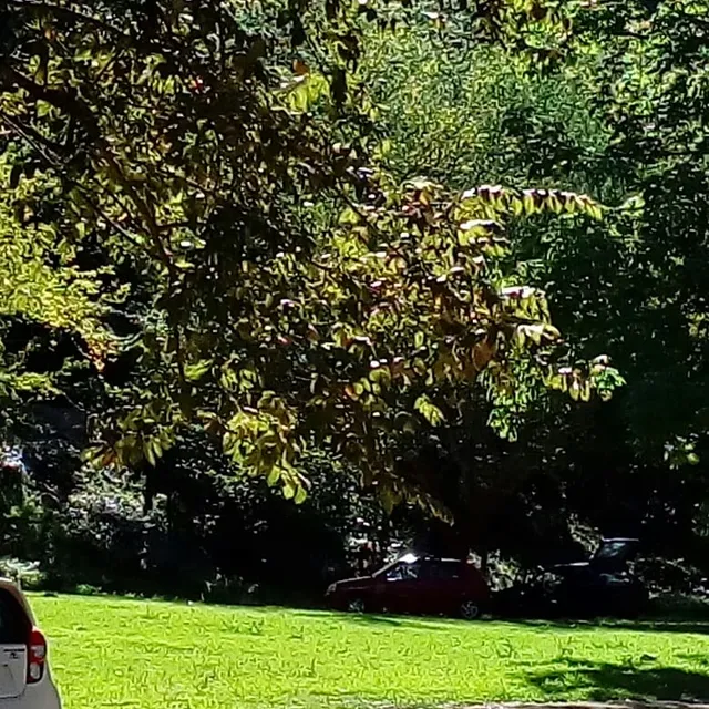 Caserio Paraiso Viejo