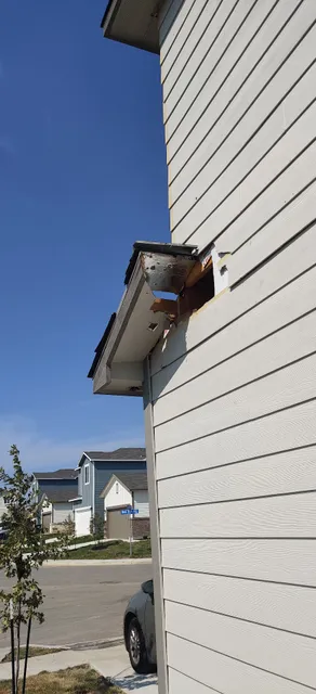 American Honey Bee Protection Agency