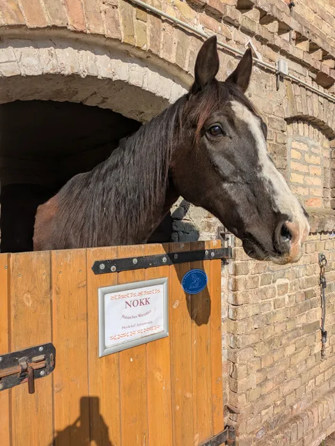Pferdehof Annenwalde, Inh. Kitty Weitkamp