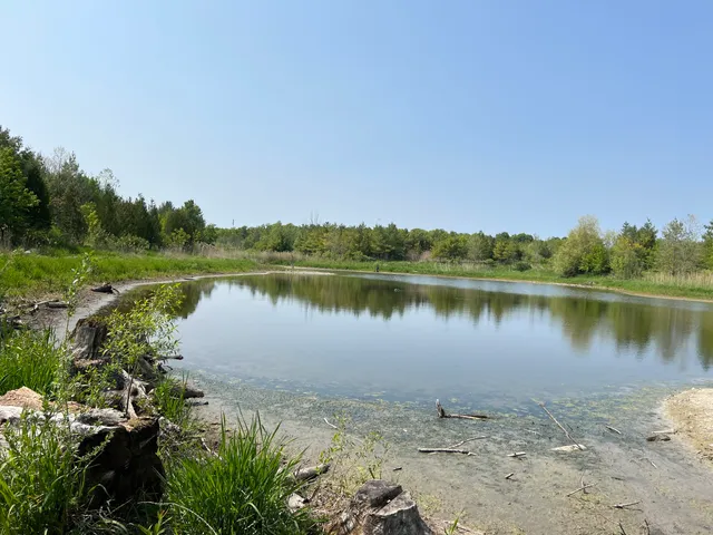 Cedar Trail and the Beare Wetlands Loop