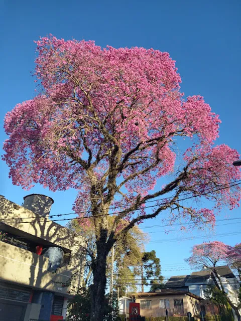 Restaurante Água na Boca