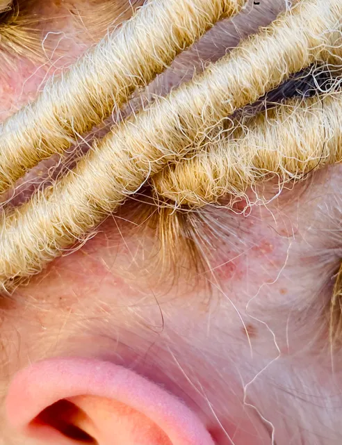 Legacy braids LLC & beauty supply store