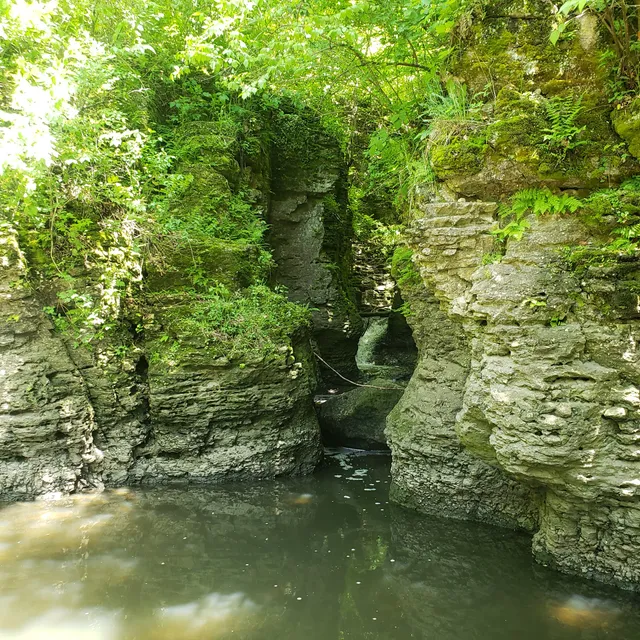 Cavalier de LaSalle Park