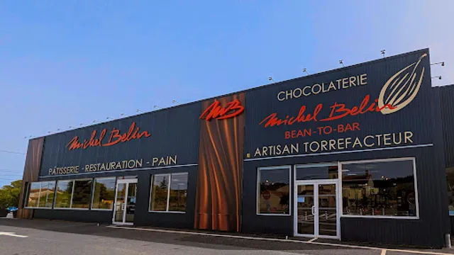 Michel Belin Lescure d'Albigeois