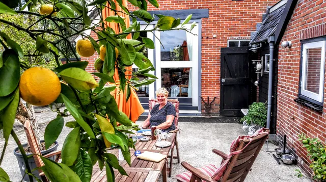 The Black Horse B&B & More