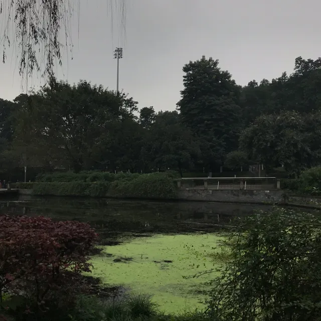 Chongqing University