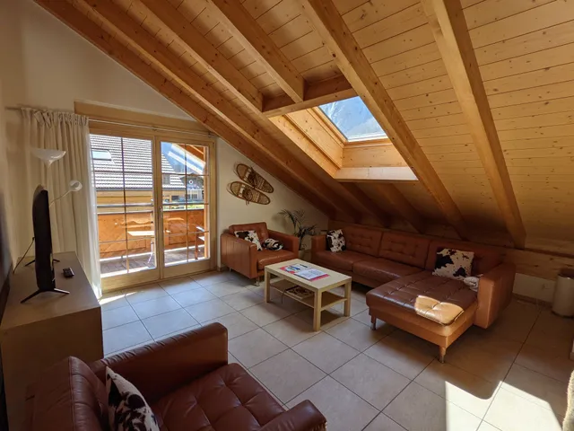 Luxury penthouse Apartment 208X