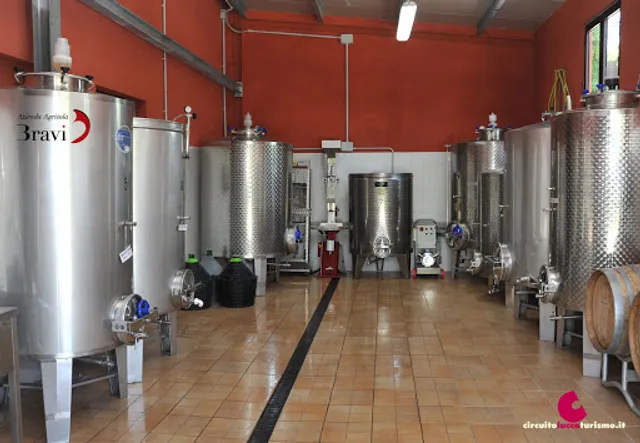 Cantina Bravi Alessandro Vino della Garfagnana