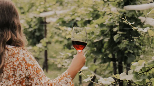 Dahlonega Wine Tours