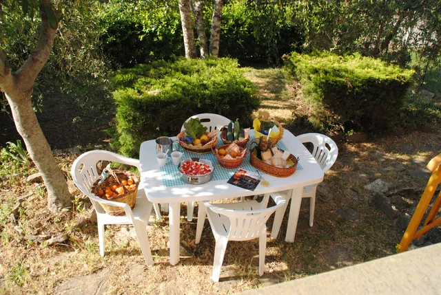 Il gelsomino del Perugino