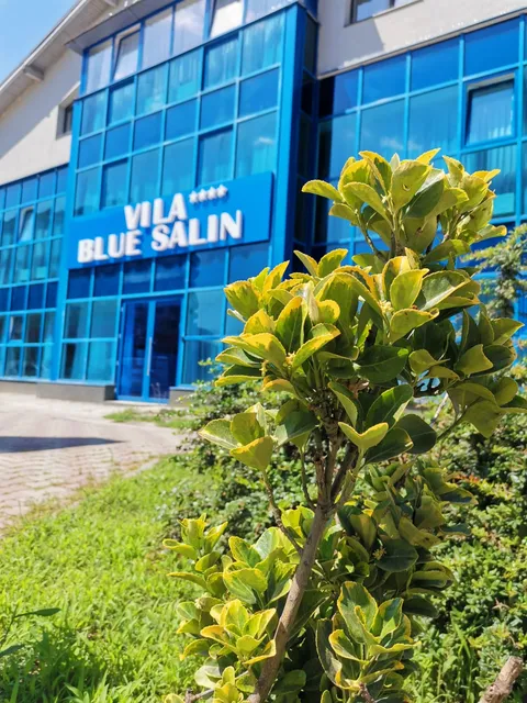 Vila Blue Salin