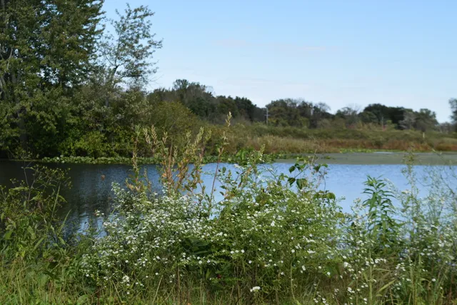 Towpath Trailhead at Manchester Rd
