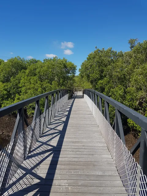 Lota Creek Boardwalk
