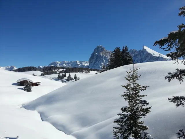 Residence Sisi - Apartments/Ferienwohnungen