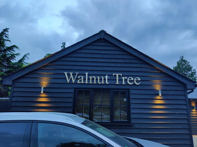 The Walnut Tree