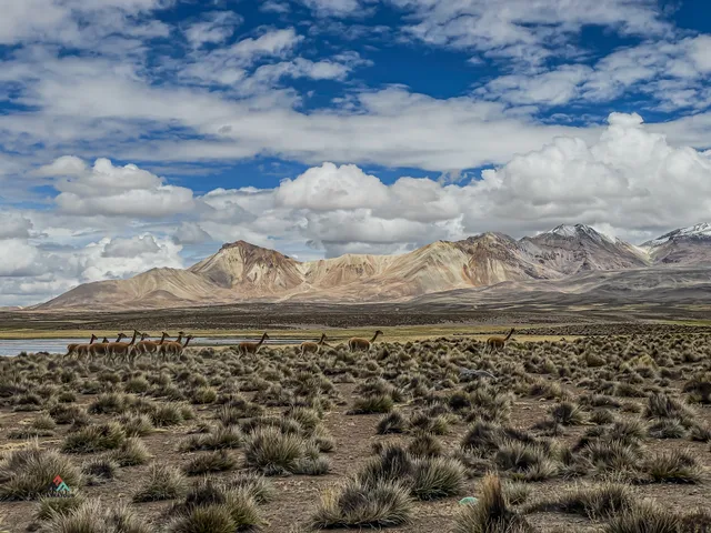 Tatratour. Przewodnicy Tatrzańscy, UIMLA