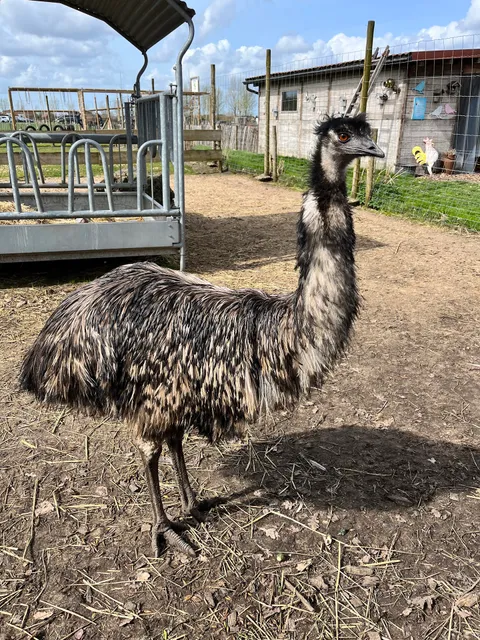 Kinderboerderij Den Ast