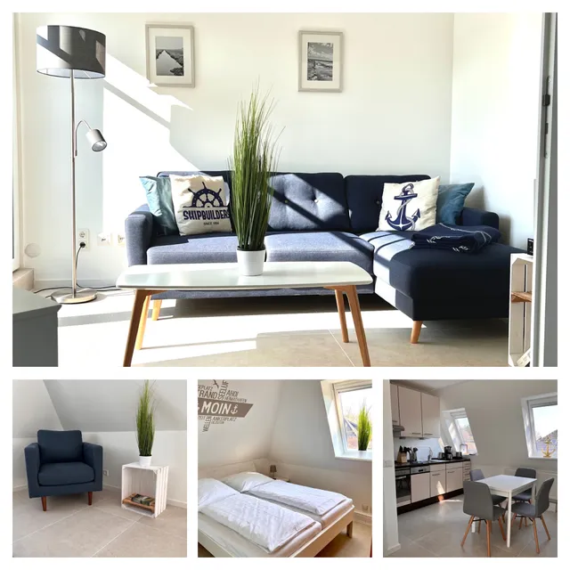 Haus Sommerdeich- Ferienwohnungen Austernfischer, Küstenschwalbe, Salzwiese, Strandhafer