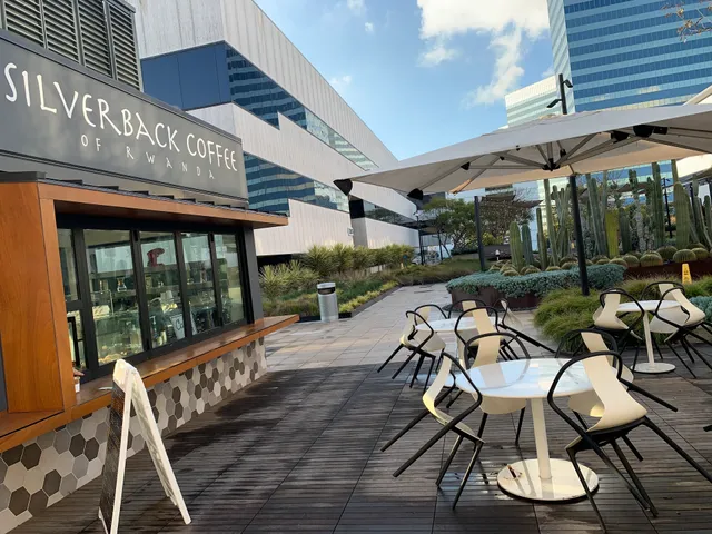 Silverback Coffee of Rwanda