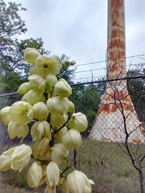 Hickory Creek Campground