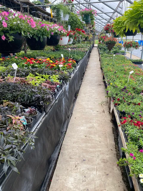 Eagle Valley Greenhouse