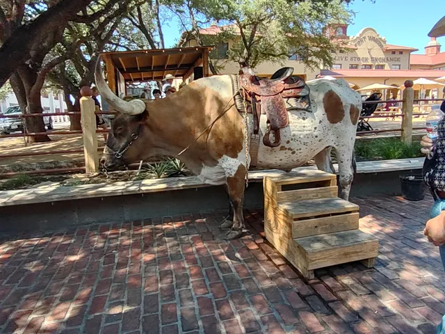 Fort Worth Stock Yards Company - Texas State Historical marker