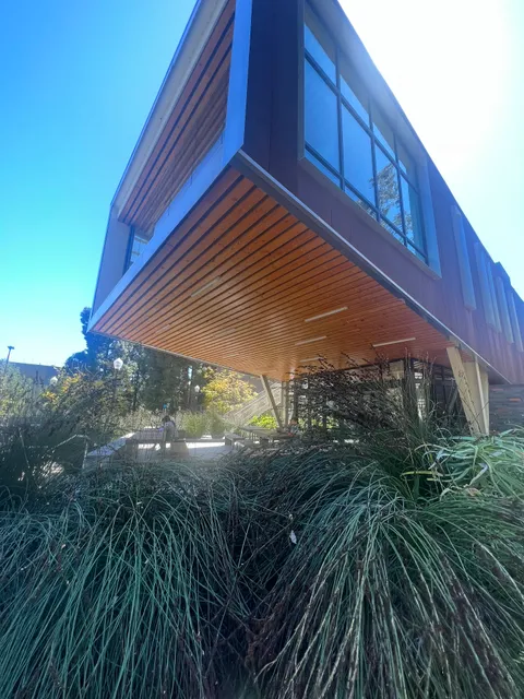 Saxon Residential Suites