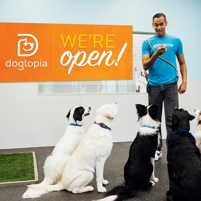 Dogtopia of Cranberry