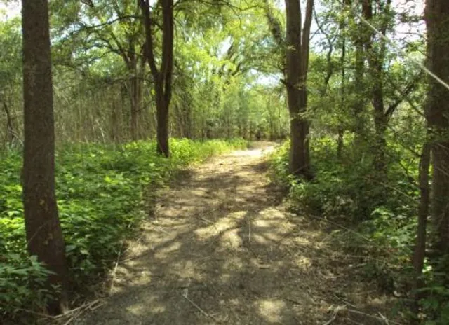 Bunton Creek Park and Playground