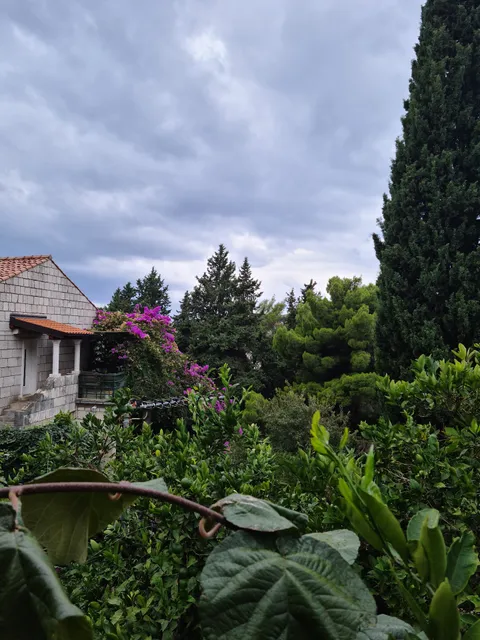 Hedera Estate, Hedera A1