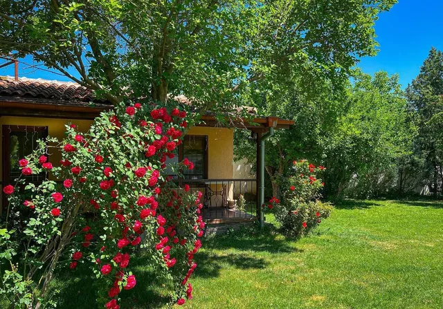 Exotic Guest House ️