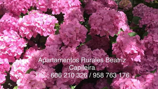 Alojamientos Rurales Beatriz