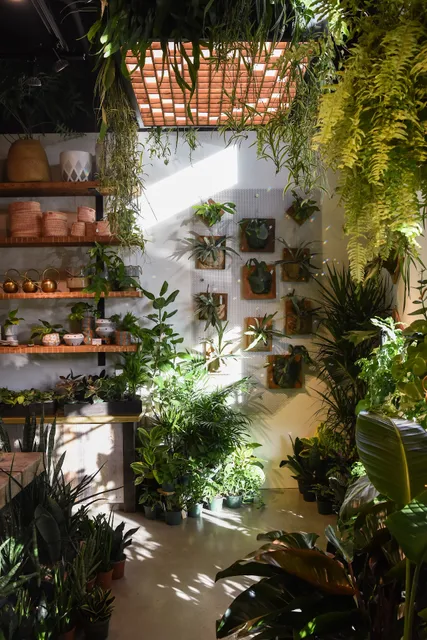 Pistils Nursery - Northwest