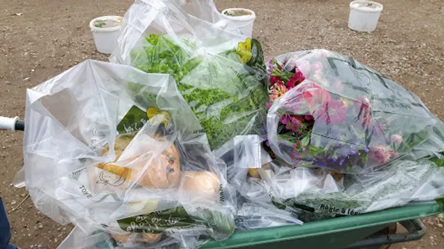 Cueillette de Viltain