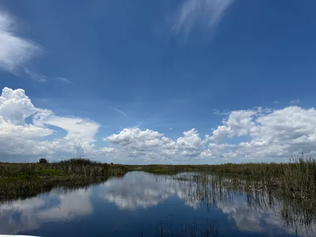 Everglades Airboat Rides