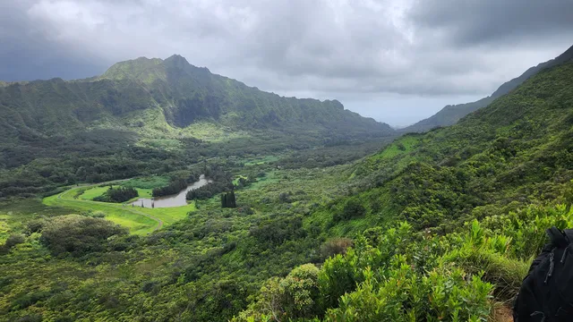 Pauoa Flats Trail Bench