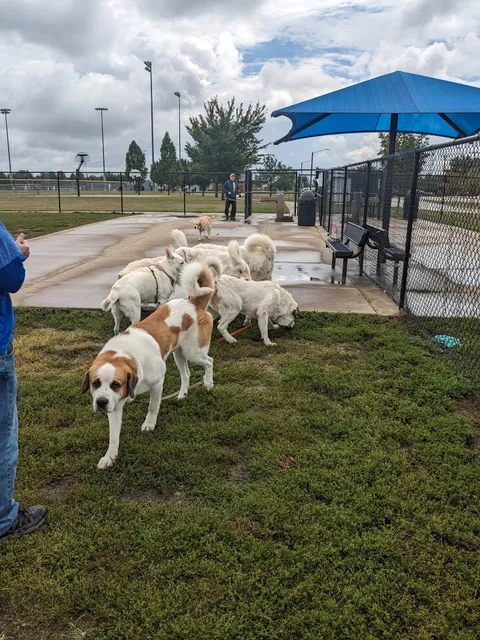 Shepard Dog Park