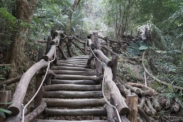 大坑八號登山步道
