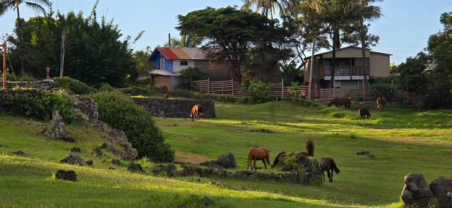 Tahai cabins Puna Poho
