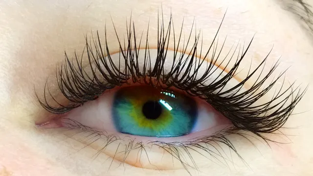 the estabLASHment by MissJMAR Beauty