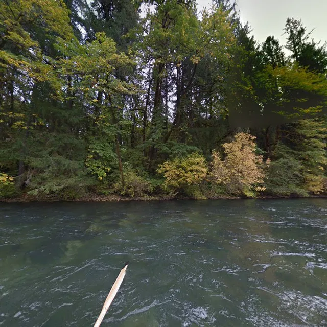 McKenzie River