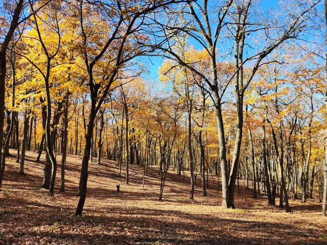 Lehigh Memorial Park