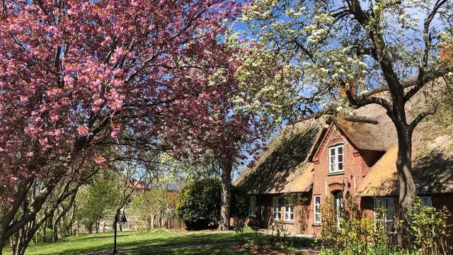 Haubarg Alte Strandvogtei