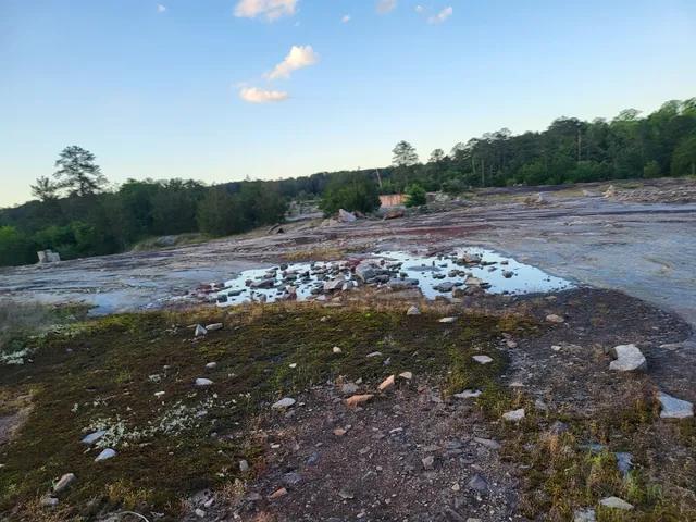Davidson-Arabia Mountain Nature Center