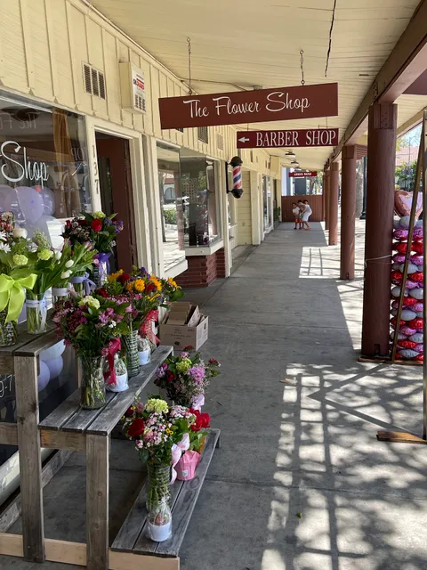 Pelton Shopping Center