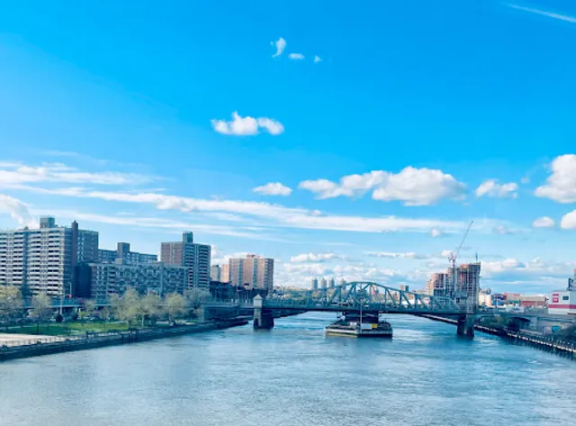 Madison Avenue Bridge