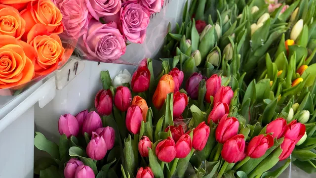 Carroll Garden flower shop