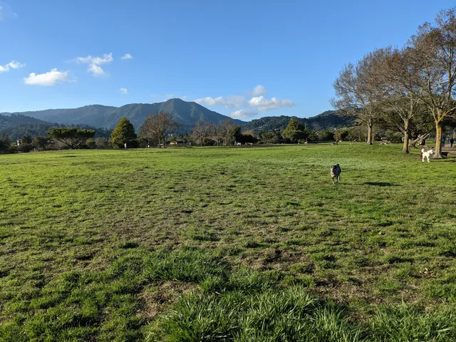 Dog Park | Bayfront Park Mill Valley
