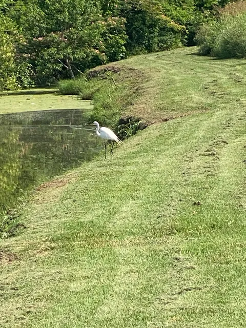 Katy Trail South Trailhead